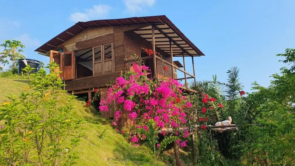 Wooden eco cabin surrounded by tropical flowers — boutique hotel for sale Colombia Tayrona