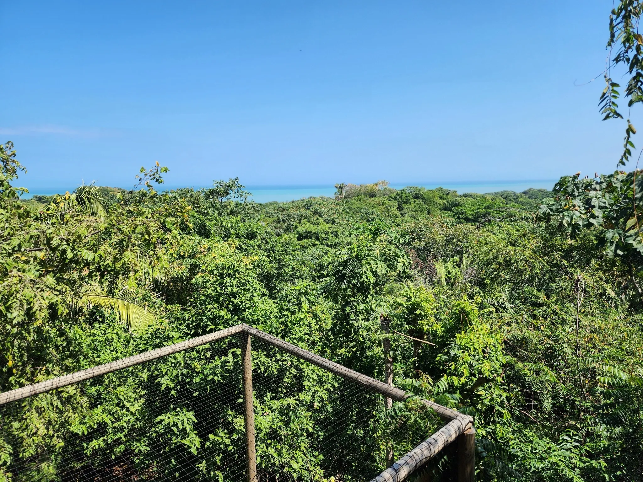 Private tropical jungle landscape — 4 hectare estate for sale near Tayrona National Park