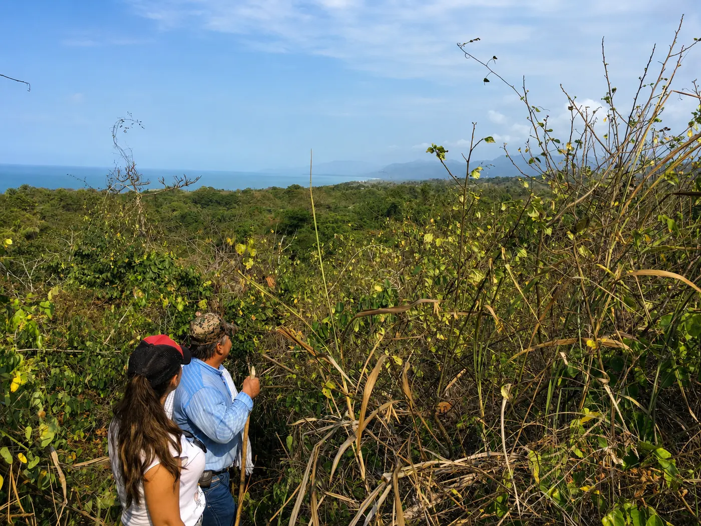 Johanna and her uncle looking across the land toward the Caribbean