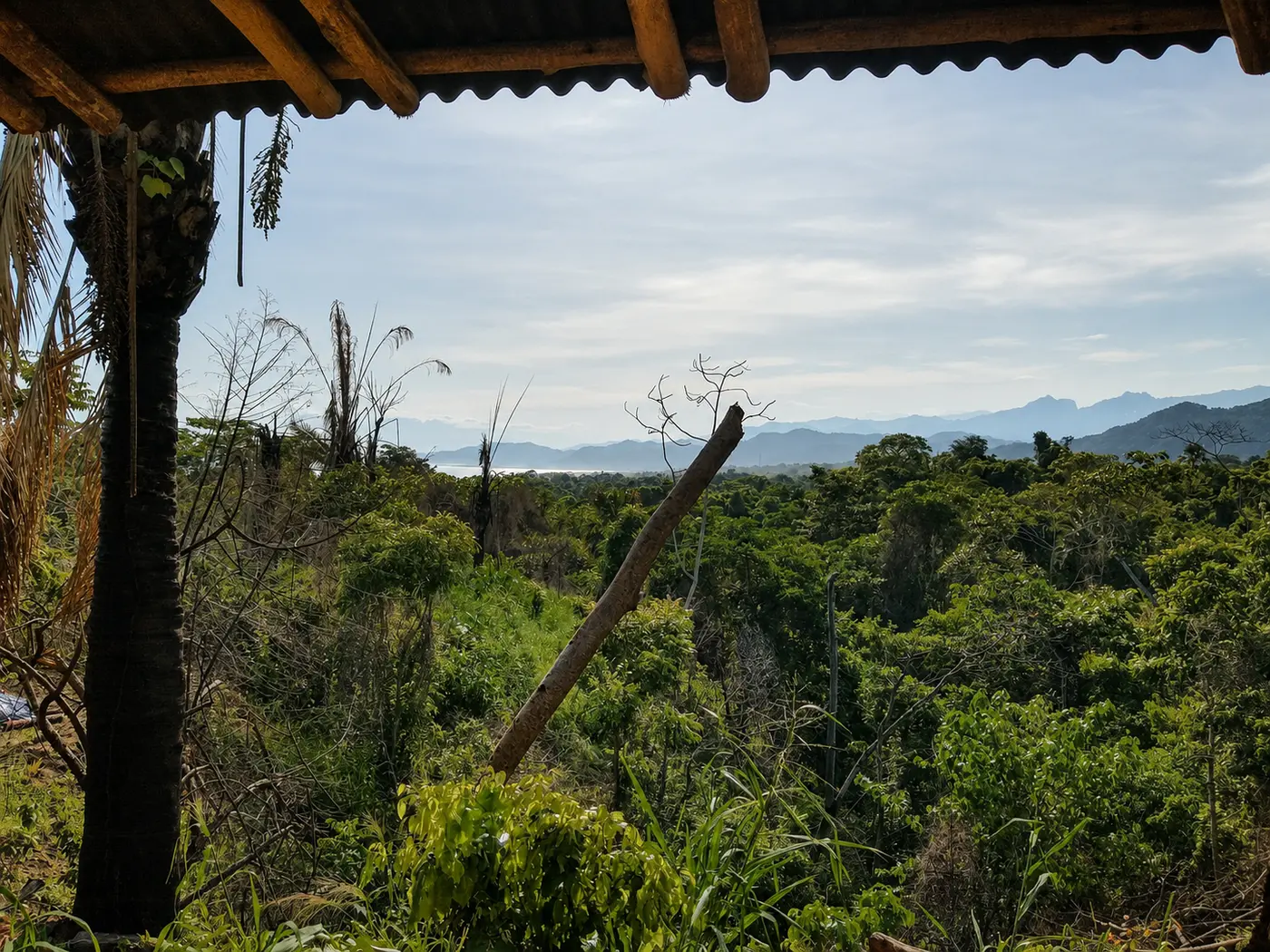 Forest and mountain view from the original hammock shelter