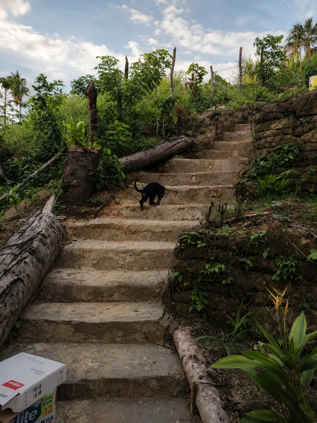 Early handmade stairs between the cabins