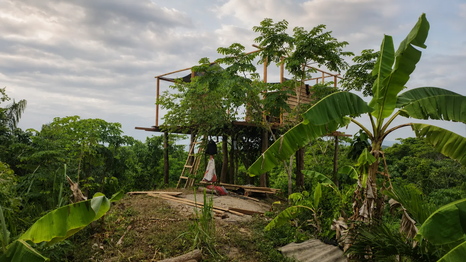 El Campano frame during construction